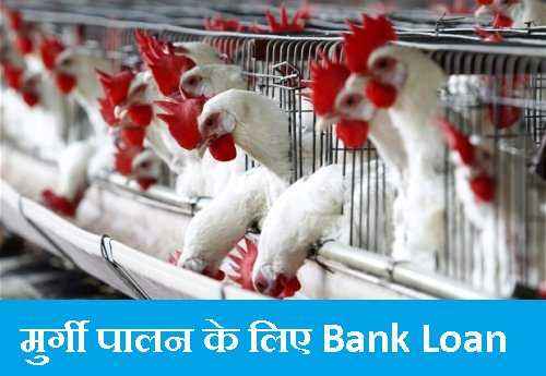 Nabard Murgi Palan Poultry Farm Self Employment Scheme
