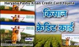 Haryana-Pashu-Kisan-Credit-Card-Yojana-In-Hindi