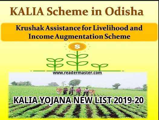 Check-Kalia-Yojana-New-List-In-Odisha