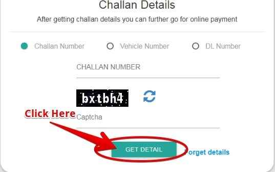 Check e-Challan Status Details