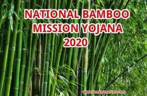 National-Bamboo-Mission-Scheme-In-Hindi