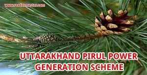 Uttarakhand-Pirul-Power-Generation-In-Hindi