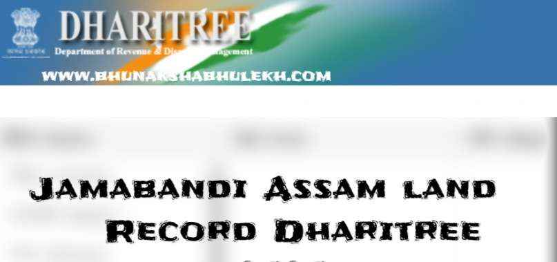 Jamabandi Assam land Record Dharitree Portal