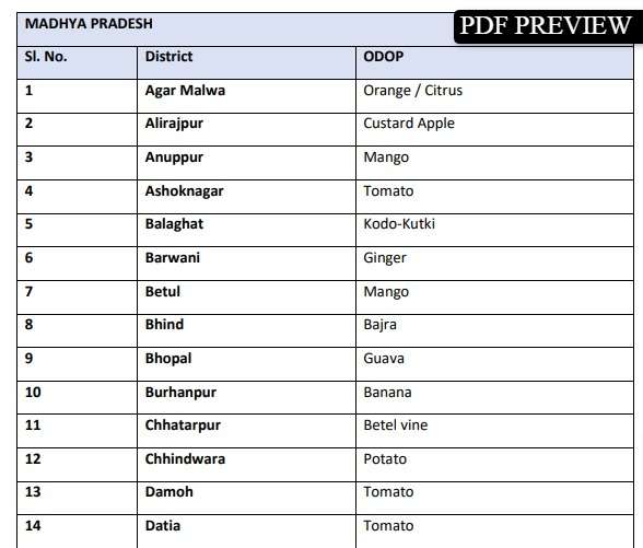 One District One Product List In MP PDF Download