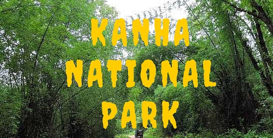 Kanha National Park Safari Booking Online