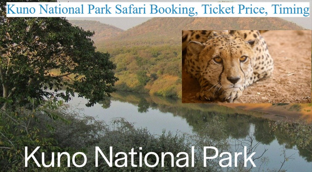 KUNO Wildlife Sanctuary Safari Booking, Ticket Price, Palpur Kuno National Park