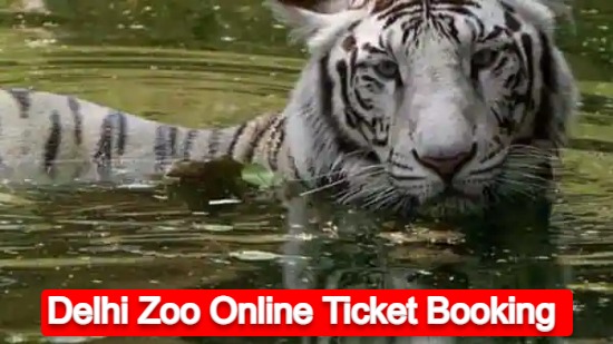 Delhi Zoo Ticket Price and Online Booking Process