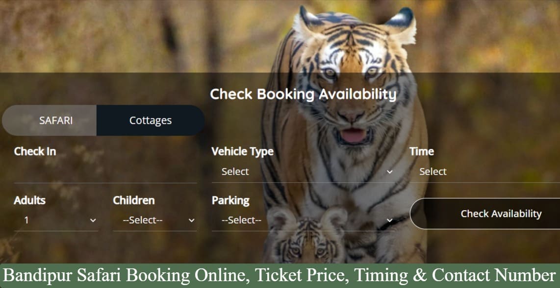 Bandipur Safari Booking Online, Ticket Price, Timing & Contact Number