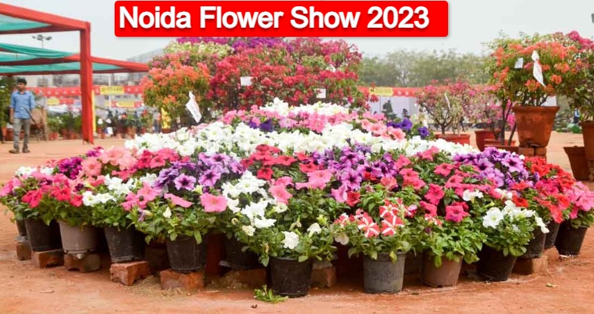 Noida Flower Show 2023 Tickets Booking & Price