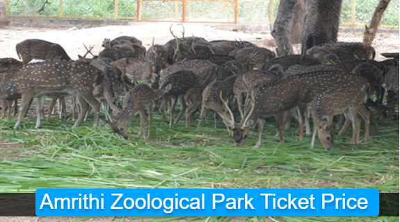 Amrithi Zoological Park Ticket Price