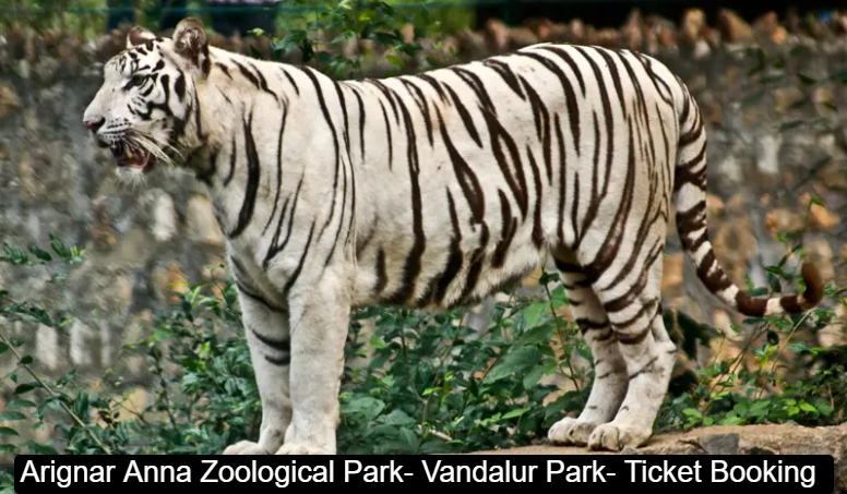 Arignar Anna Zoological Park- Vandalur Park- Ticket Booking