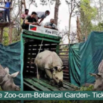 Assam State Zoo-cum-Botanical Garden- Ticket Booking