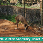 Bandla Wildlife Sanctuary Ticket Price