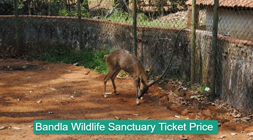 Bandla Wildlife Sanctuary Ticket Price
