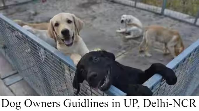 Dog Owners Guidlines in UP, Delhi-NCR