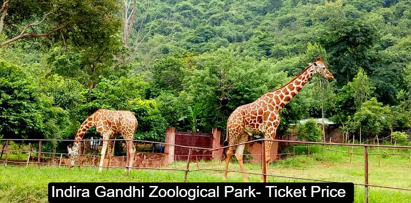 Indira Gandhi Zoological Park- Ticket Price