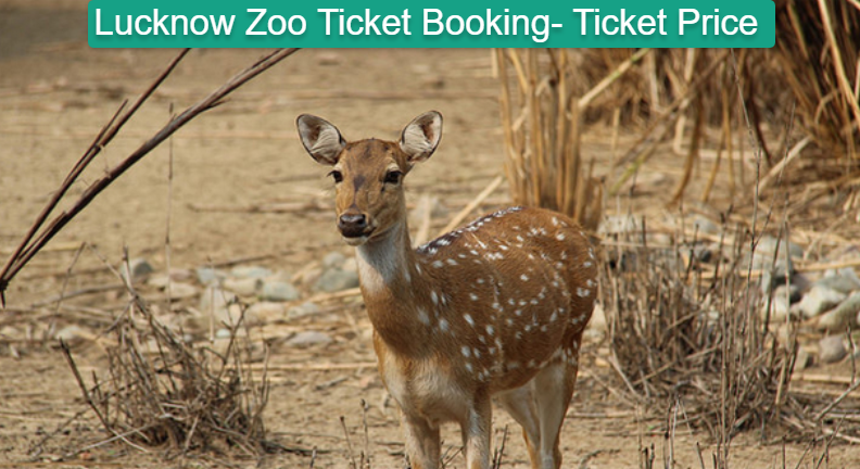 Lucknow Zoo Ticket Booking- Ticket Price