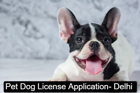 Pet Dog License Application- Delhi