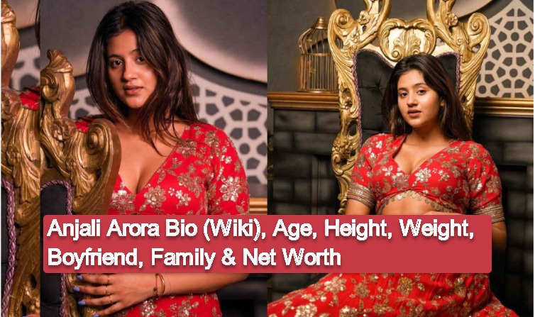 Anjali Arora Bio (Wiki), Age, Height, Weight, Boyfriend, Family & Net Worth